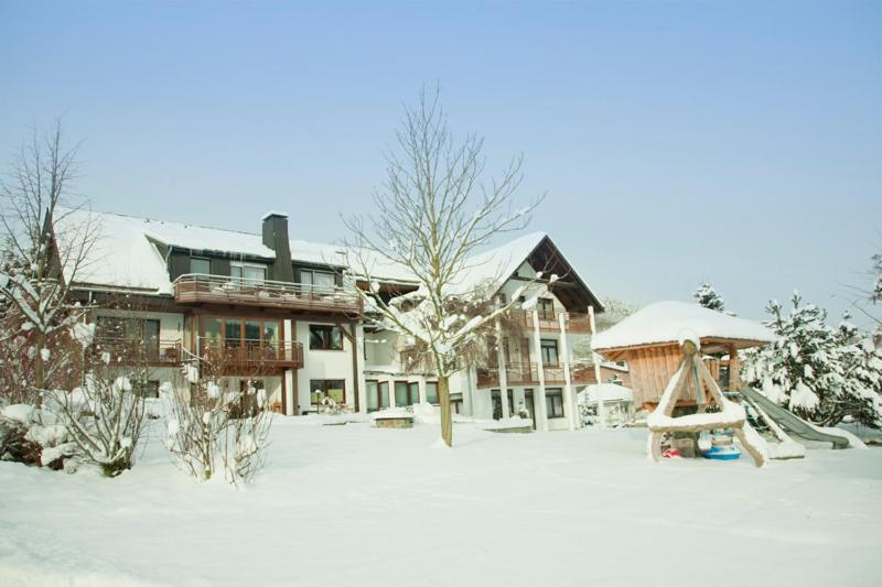 Appartement Haus Alexandra à Willingen  Extérieur photo
